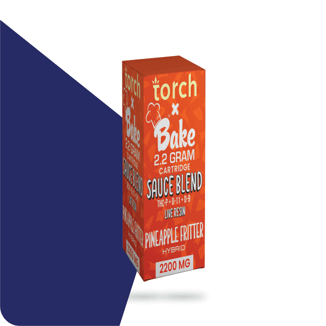 Cartridge Box Packaging